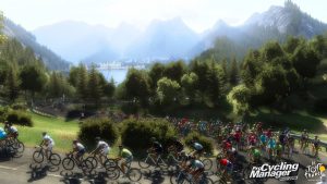 cyclingmanager